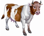 Комбинирани фуражи за крави