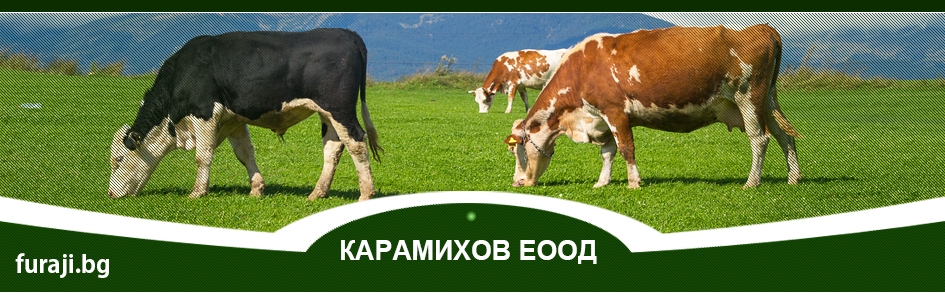 Фуражи - Карамихов ЕООД цвеклови резанки