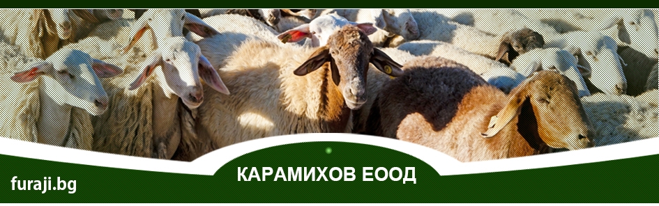 Фуражи - Карамихов ЕООД цвеклови резанки